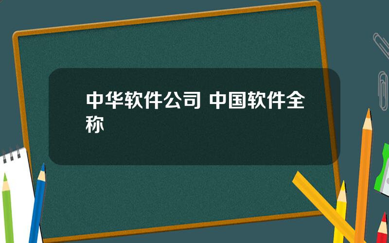 中华软件公司 中国软件全称